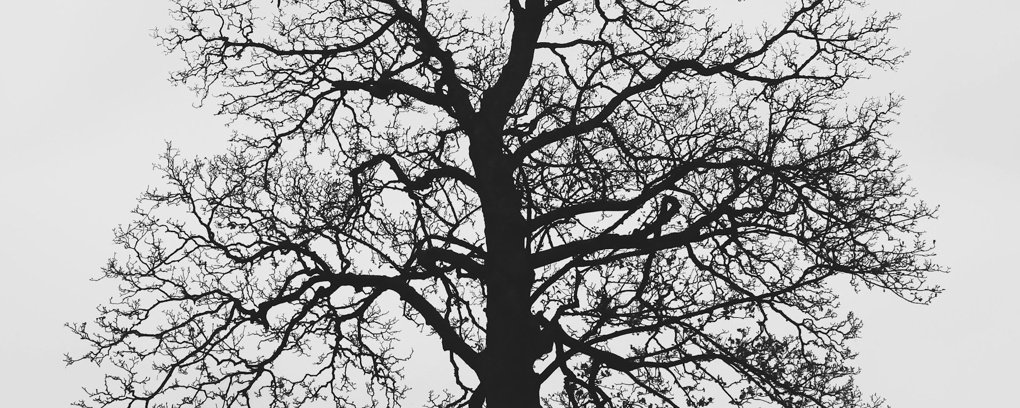 The Foundation of Divine Revelation