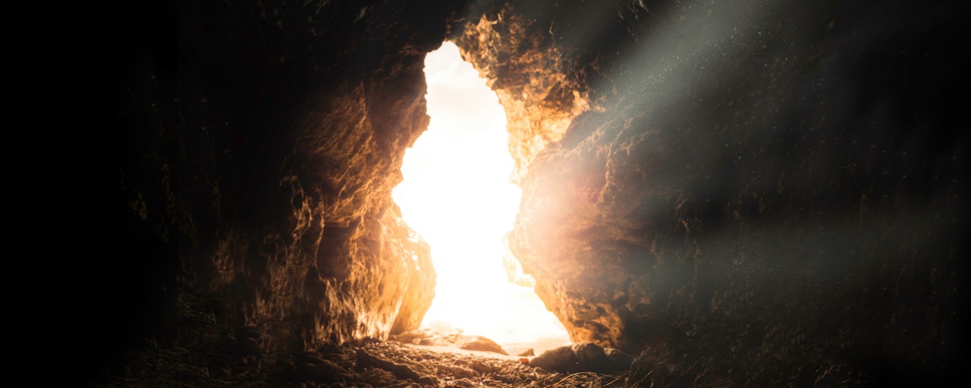 In This Hope — Romans 8:18-25