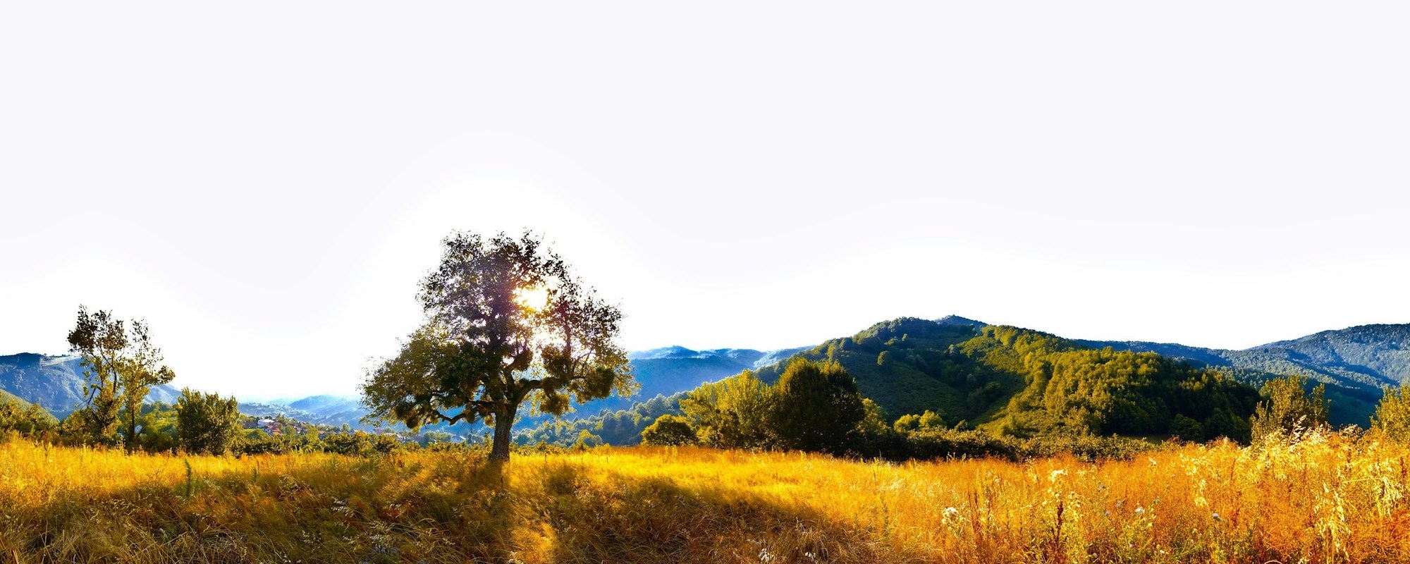 Elect Exiles — 1 Peter 1:1–2